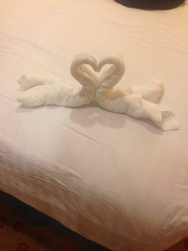 Swans made from towels in David and Estelle's cabin